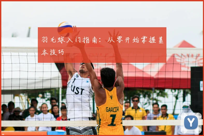 羽毛球入门指南：从零开始掌握基本技巧