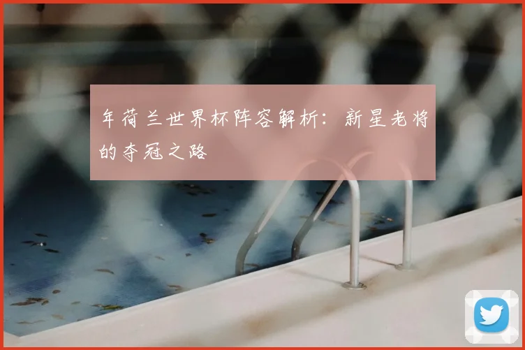 年荷兰世界杯阵容解析：新星老将的夺冠之路